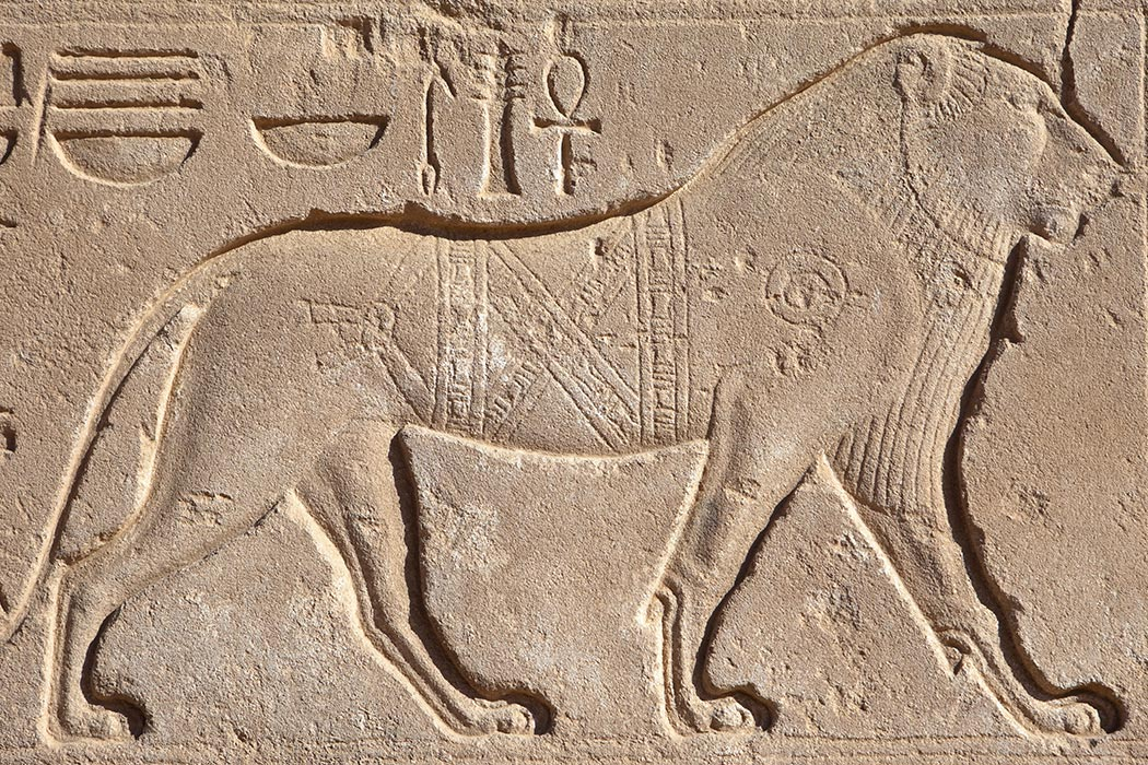 Lion hieroglyphic carving